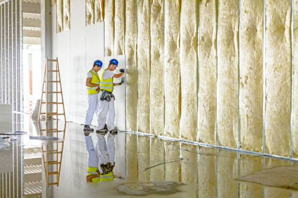 Insulation Inspection Services in Mattoon, IL